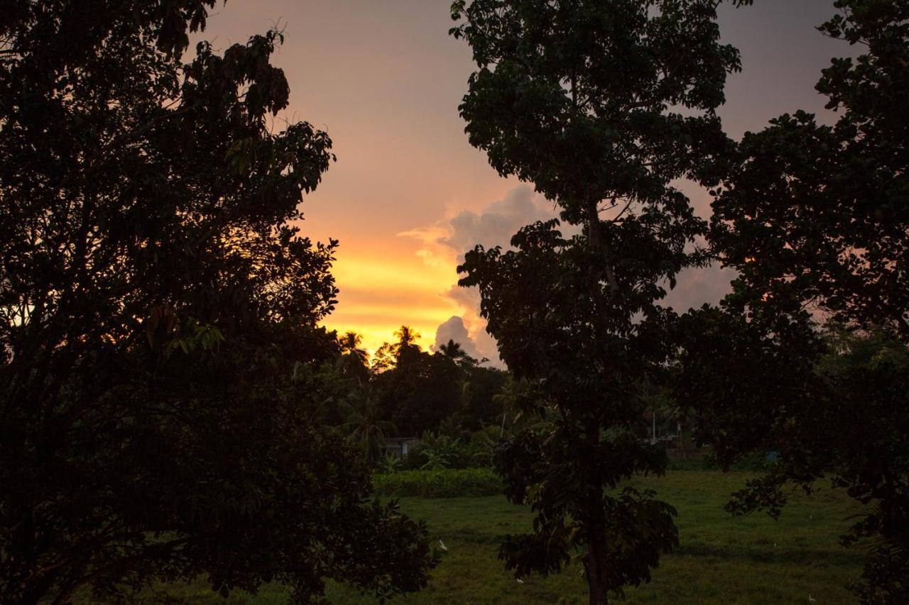 Barefoot Bungalow Hikka Hikkaduwa Bagian luar foto