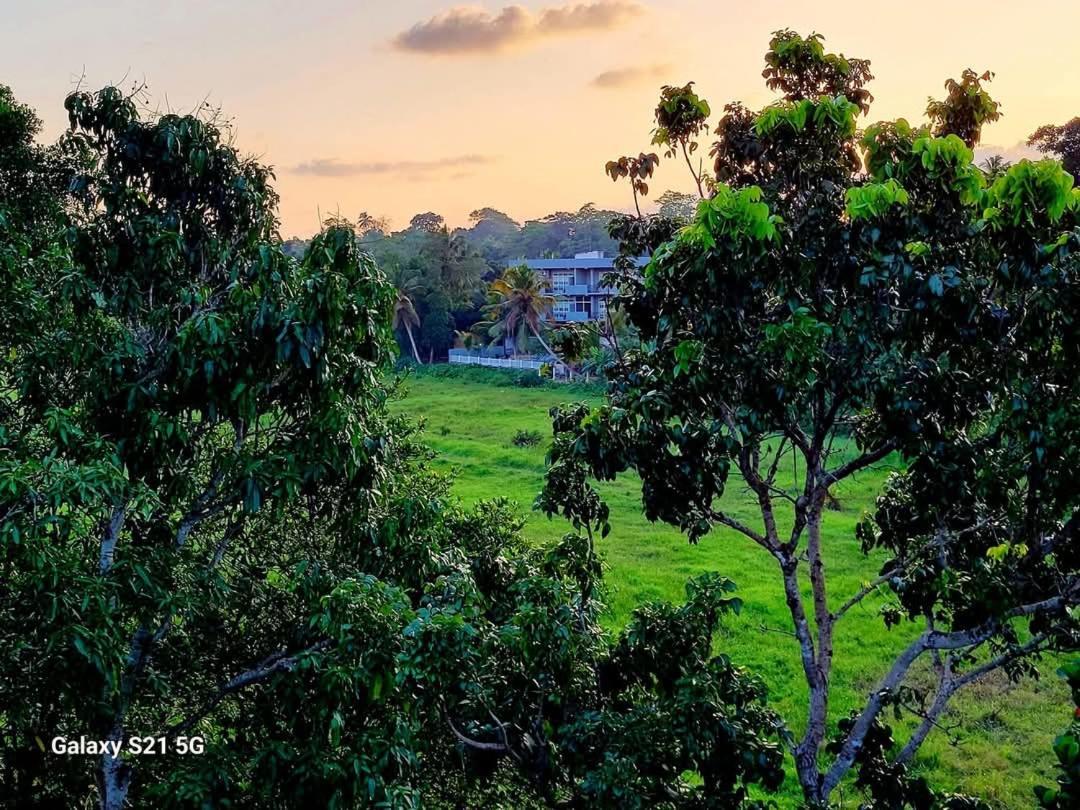 Barefoot Bungalow Hikka Hikkaduwa Bagian luar foto