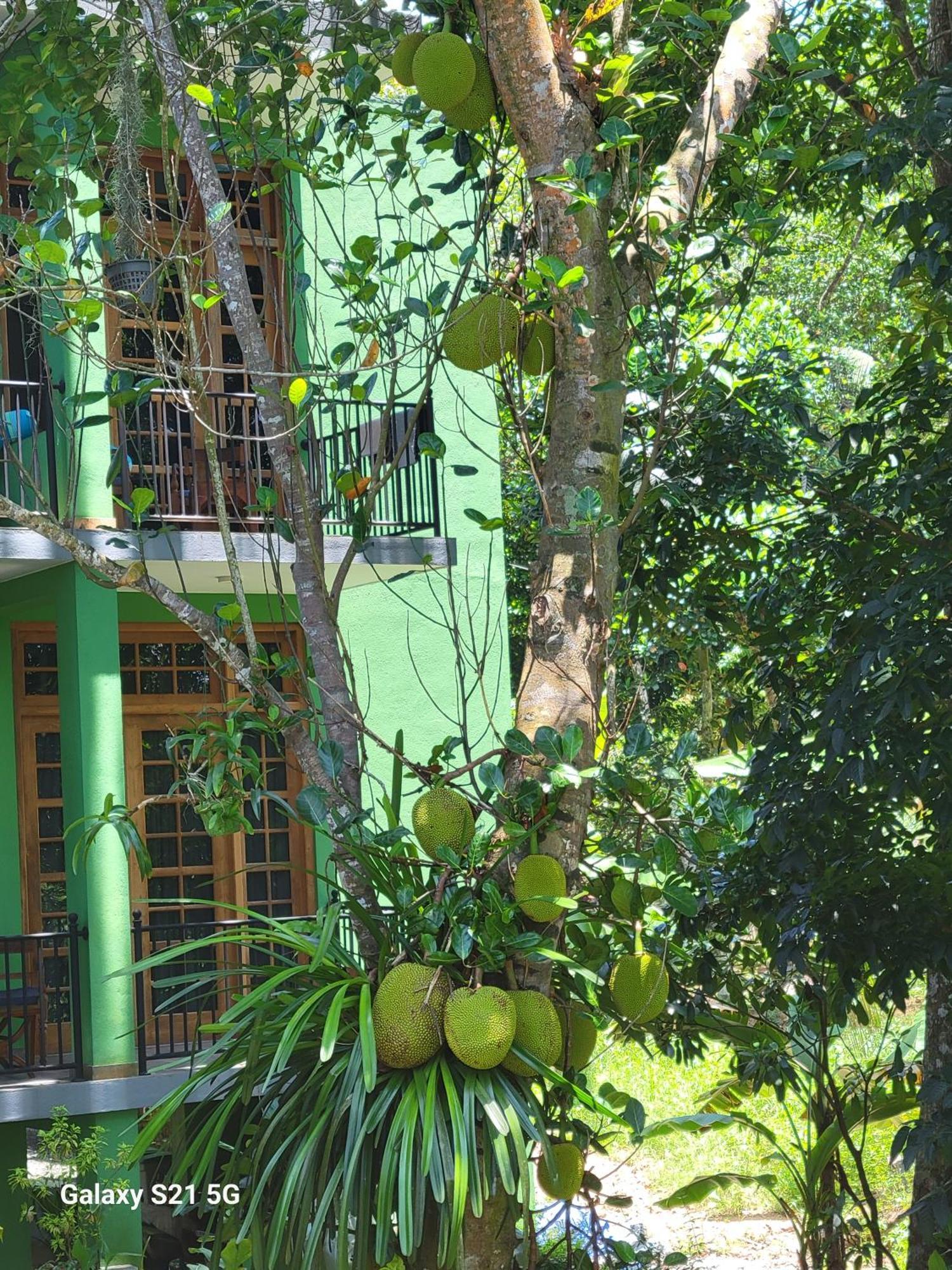 Barefoot Bungalow Hikka Hikkaduwa Bagian luar foto