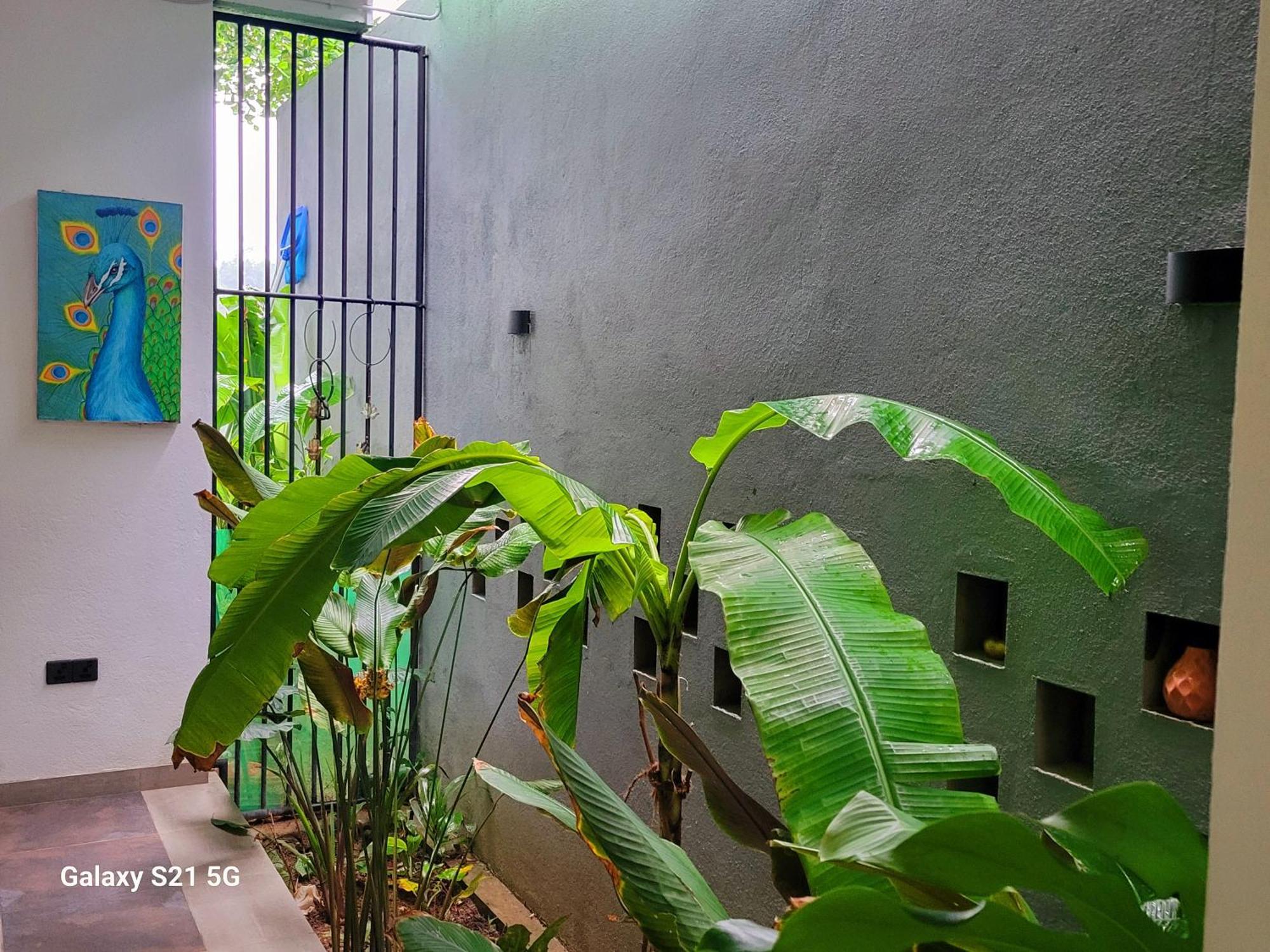 Barefoot Bungalow Hikka Hikkaduwa Bagian luar foto