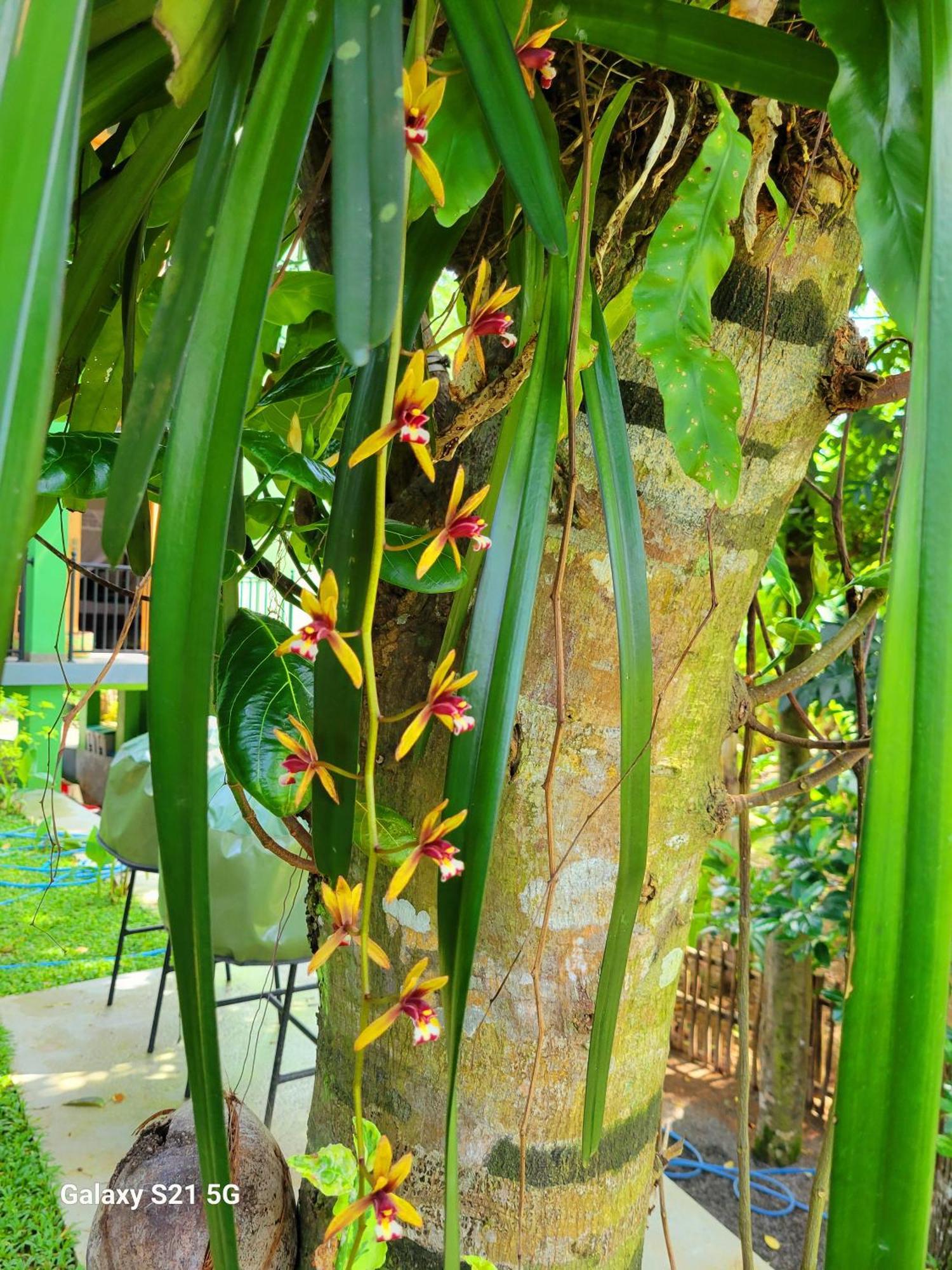 Barefoot Bungalow Hikka Hikkaduwa Bagian luar foto