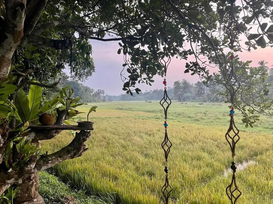 Barefoot Bungalow Hikka Hikkaduwa Bagian luar foto