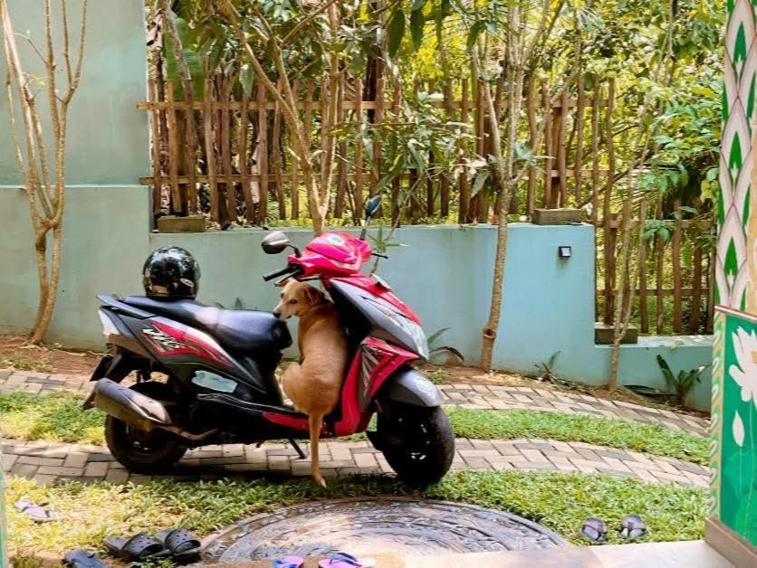 Barefoot Bungalow Hikka Hikkaduwa Bagian luar foto